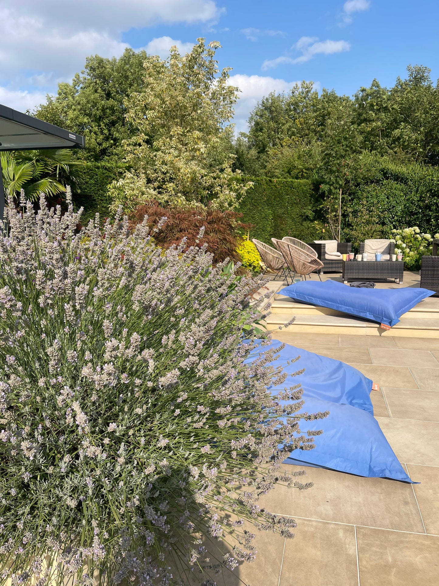 SOULBIRD RESET MORNING Sunday 17 May 2026 10-1pm Burton Joyce Swim Spa