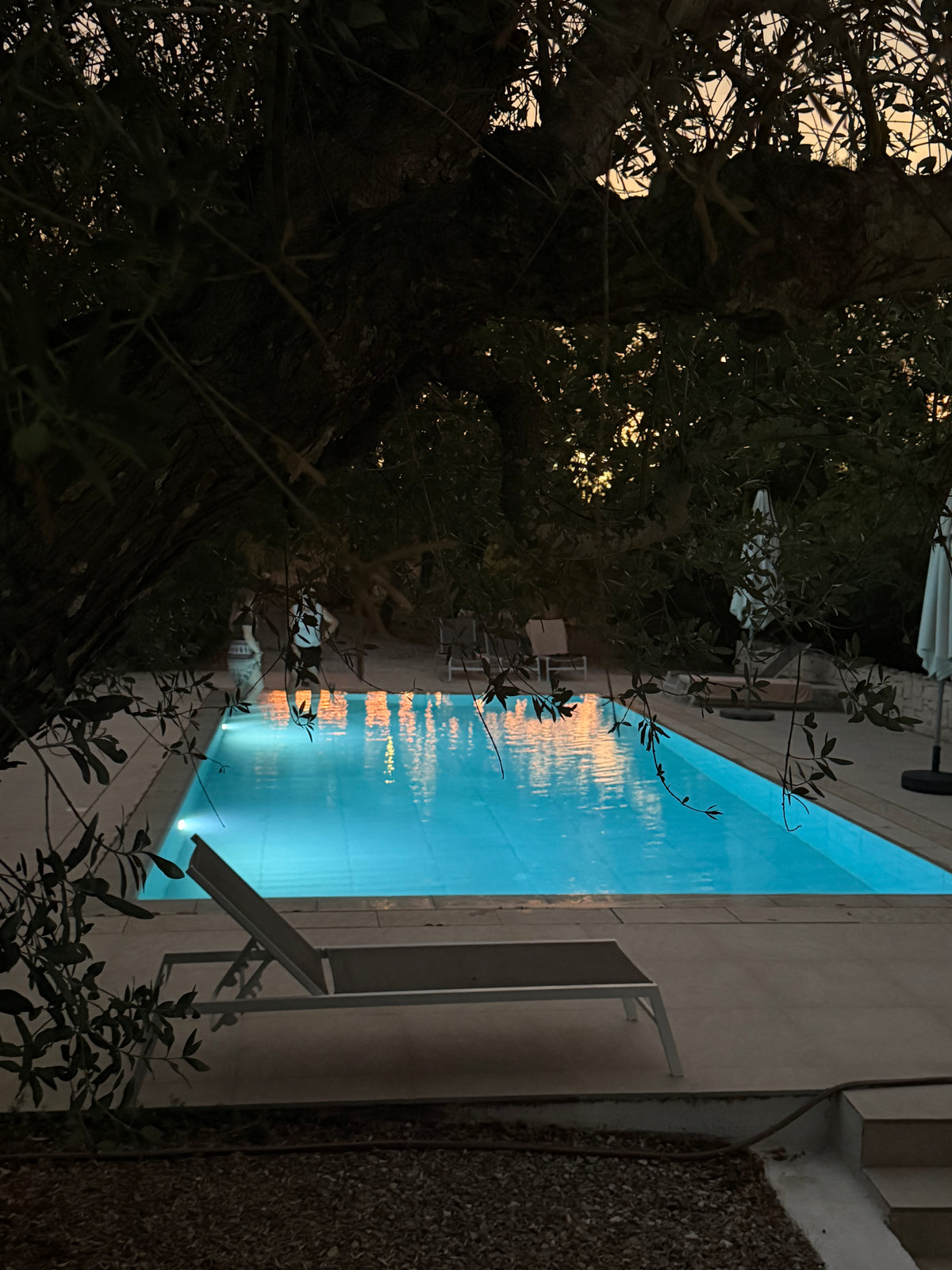 Age Like a Goddess: The Soulbird Retreat, Puglia, Italy |31st July 2027 7 days -6 nights