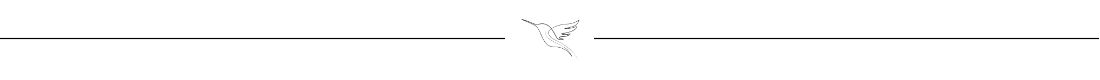 soulbird icon divider